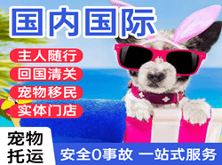 石河子花园航空邮寄国际宠物托运 【国